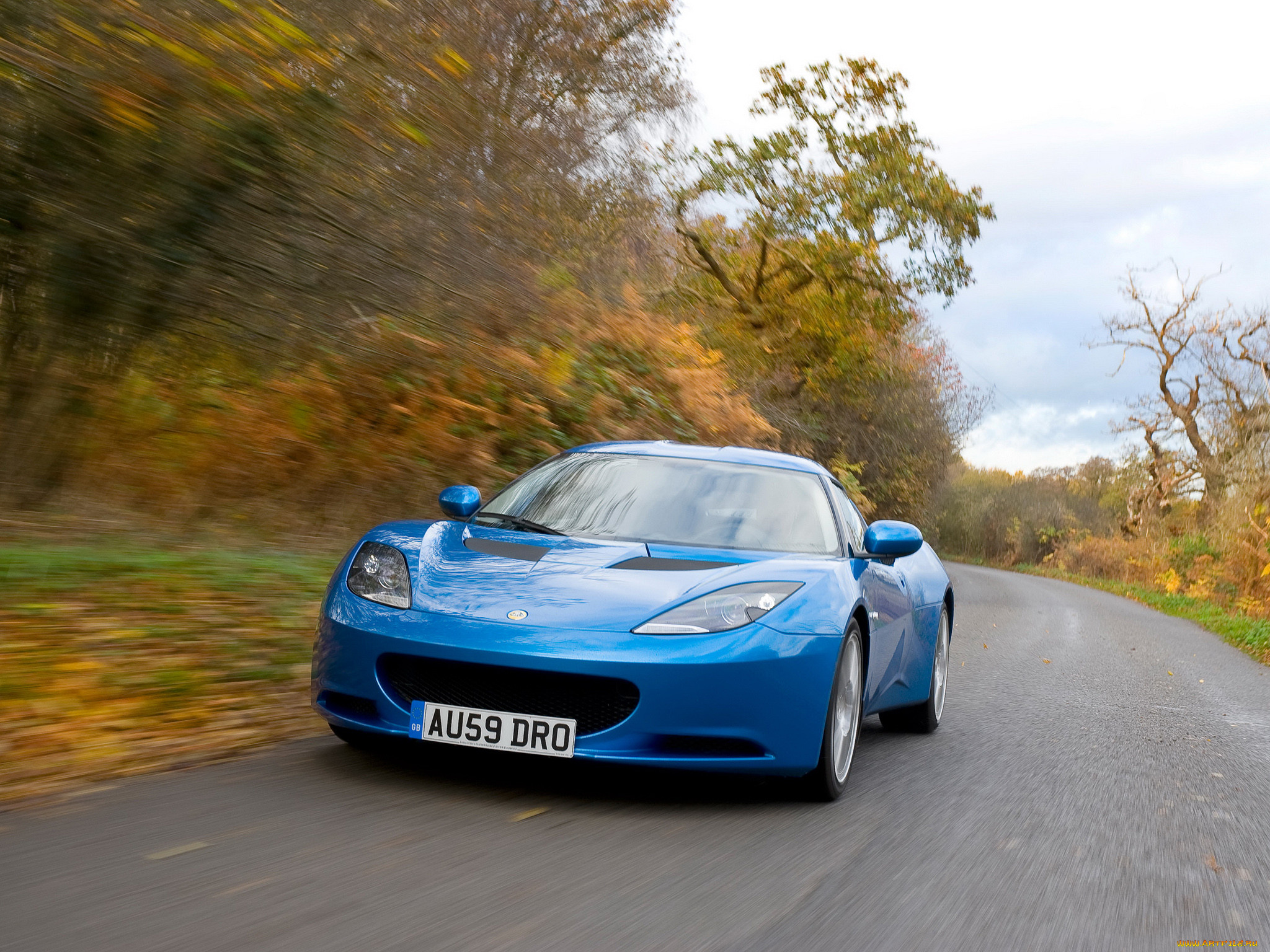 , lotus